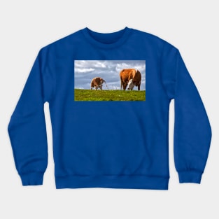 Sometimes all you need is a good scratch - Panorama Crewneck Sweatshirt